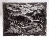 Artist: SHEARER, Mitzi | Title: Curious eyes | Date: 1981 | Technique: etching, printed in black ink, from one  plate