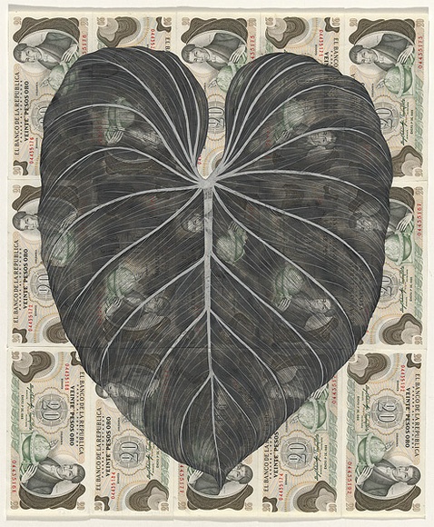 Artist: b'HALL, Fiona' | Title: b'Philodendron gloriosum - Satin leaf (Colombian currency)' | Date: 2000 - 2002 | Technique: b'gouache' | Copyright: b'\xc2\xa9 Fiona Hall'