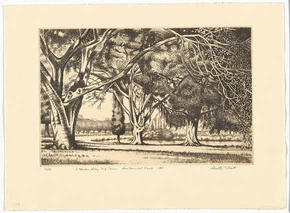 Artist: b'PLATT, Austin' | Title: b'Three Morton Bay fig trees, Centennial Park' | Date: 1985 | Technique: b'etching, printed in black ink, from one plate'