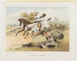 Artist: GILL, S.T. | Title: Squatters tiger | Date: 1865 | Technique: lithograph, printed in colour, from seven stones