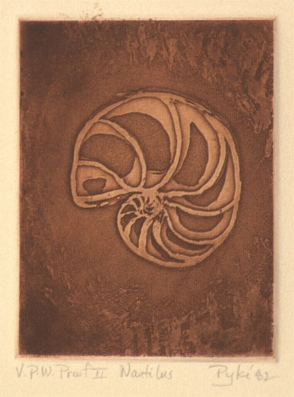 Artist: b'Pyke, Guelda' | Title: b'Nautilus' | Date: 1982 | Technique: b'etching and aquatint, printed in sepia ink, from one plate'