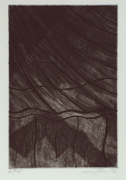 Artist: b'STAFFIERI, Mara' | Title: b'Shadow' | Date: 1992 | Technique: b'etching and aquatint, printed in black ink with plate-tone, from one plate'