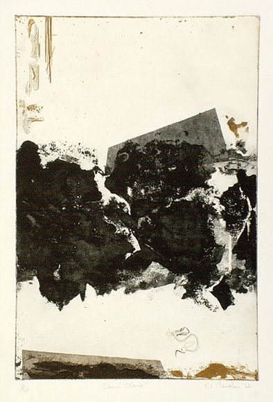 Artist: b'Backen, Earle.' | Title: b'Storm cloud.' | Date: 1963 | Technique: b'etching and aquatint, printed in colour'