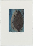 Artist: b'Wright, Helen.' | Title: b'(Two leaves on blue background and blue specks)' | Date: 2000 | Technique: b'digital print, printed in colour, from digital file'