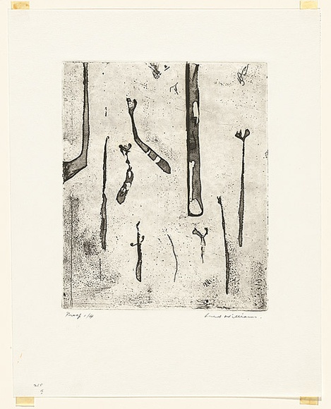 Artist: b'WILLIAMS, Fred' | Title: b'Ferns. Number 2' | Date: 1971 | Technique: b'aquatint, rough biting, etching, engraving, electric hand engraving to roulette on lavis, printed in black ink, from one zinc plate' | Copyright: b'\xc2\xa9 Fred Williams Estate'
