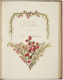 Artist: b'Meredith, Louisa Anne.' | Title: b'The lost jewels [last page]' | Date: 1860 | Technique: b'lithograph, printed in colour, from multiple stones'