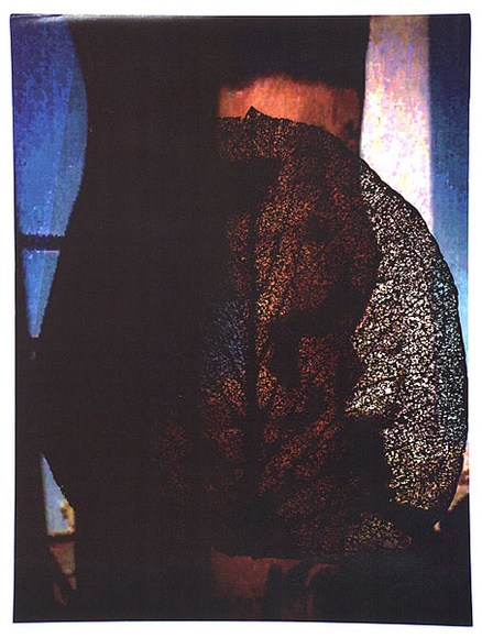 Artist: b'Payne, Patsy.' | Title: b'not titled [colour photocopy of leaf silhouette]' | Date: 1993 | Technique: b'photocopy, printed in colour, from one stencil'