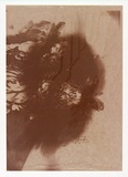 Artist: TO, Hiram | Title: (Flower design) | Technique: photocopy