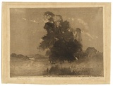 Artist: b'Hilder, J.J.' | Title: b'Dora Creek' | Date: 1918 | Technique: b'spirit-aquatint and drypoint, printed in brown ink, from one plate' | Copyright: b'Courtesy of the National Library of Australia'