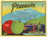 Artist: b'UNKNOWN' | Title: b'Label: Pinnacle, Tasmanian apples' | Date: c.1930 | Technique: b'lithograph, printed in colour, from multiple stones [or plates]'