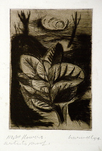 Artist: b'Barwell, Geoff.' | Title: b'Night flowers.' | Date: 1954 | Technique: b'drypoint and etching, printed in dark brown ink with plate-tone, from one plate'