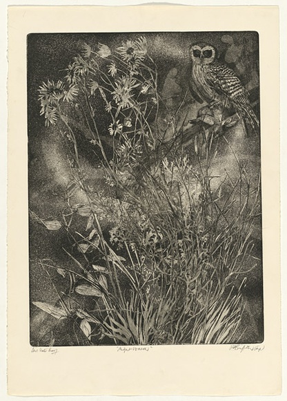 Artist: b'GRIFFITH, Pamela' | Title: b'Night watch' | Date: 1980 | Technique: b'etching, soft ground, spray resist, printed in black ink, from one zinc plate' | Copyright: b'\xc2\xa9 Pamela Griffith'