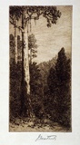 Artist: b'Mather, John.' | Title: b'Fernshaw' | Date: 1913 | Technique: b'etching, printed in brown ink with plate-tone, from one plate'