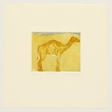 Artist: b'Bragge, Anita.' | Title: b'Camel' | Date: 1997, June | Technique: b'etching and drypoint, printed in colour, from two plates'