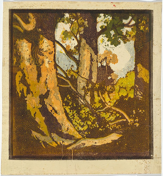 Artist: Reynolds, Frederick George. | Title: (Gum trees). | Date: c.1928 | Technique: woodcut, printed in colour, from multiple blocks