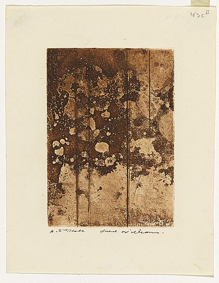 Artist: b'WILLIAMS, Fred' | Title: b'Landscape panel. Number 3' | Date: 1962 | Technique: b'sugar aquatint, engraving and drypoint, printed in sepia ink, from one zinc plate' | Copyright: b'\xc2\xa9 Fred Williams Estate'