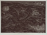 Artist: Faulkner, Jeff. | Title: Darebin parklands, night | Date: 1991 - 1992, December - January | Technique: etching and aquatint, printed in black ink, from one plate