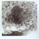 Artist: b'McShane, Justin.' | Title: b'not titled [trees and waves]' | Date: 2001, July | Technique: b'hardground-etching, printed in black ink, from one plate'