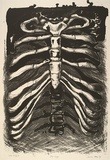 Artist: POTTER, Sarah | Title: The cage | Date: 1987 | Technique: lithograph, printed in black ink, from one stone