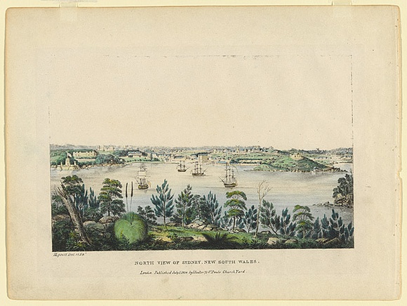 Title: North View of Sydney, New South Wales | Date: July 1824 | Technique: lithograph, printed in black ink, from one stone; hand-coloured