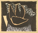 Artist: b'Lincoln, Kevin.' | Title: b'Pears' | Date: 1989 | Technique: b'lithograph, printed in black ink, from one stone; hand-coloured'