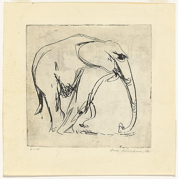 Artist: b'WILLIAMS, Fred' | Title: b'Young elephant' | Date: 1956 | Technique: b'etching, printed in black ink, from one zinc plate' | Copyright: b'\xc2\xa9 Fred Williams Estate'