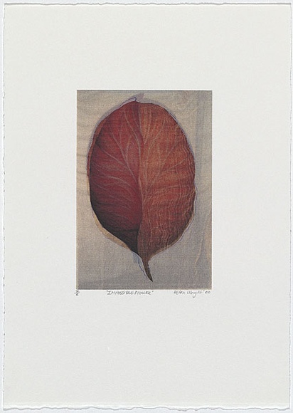 Artist: b'Wright, Helen.' | Title: b'(Leaf in 2 shades of orange, pale background)' | Date: 2000 | Technique: b'digital print, printed in colour, from digital file'