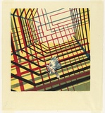 Artist: Thorpe, Lesbia. | Title: Bird in a cage. | Date: 1980 | Technique: screenprint, printed in colour, from five stencils