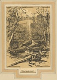 Artist: b'PROUT, John Skinner' | Title: b'Lower Fall Willoughby, North Shore, Sydney' | Date: 1842 | Technique: b'lithograph, printed in colour, from multiple stones [or plates]'