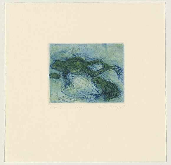 Artist: b'Bragge, Anita.' | Title: b'Frogs' | Date: 1997, July | Technique: b'etching and drypoint, printed in colour, from two plates'