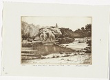 Artist: b'PLATT, Austin' | Title: b'Pond early morn, Centennial Park' | Date: 1981 | Technique: b'etching, printed in black ink, from one plate'