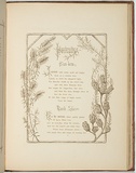 Artist: Meredith, Louisa Anne. | Title: Portraits [title page] | Date: 1860 | Technique: lithograph, printed in brown ink, from one stone