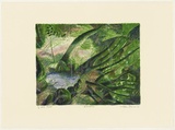 Artist: b'Robinson, William.' | Title: b'Rainforest' | Date: 1992 | Technique: b'lithograph, printed in colour, from five stones'