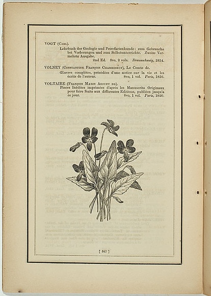 Title: b'not titled [viola betonicifolia].' | Date: 1861 | Technique: b'woodengraving, printed in black ink, from one block'