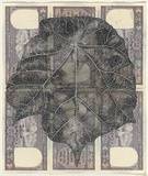 Artist: b'HALL, Fiona' | Title: b'Pterospermum acerifolium - Maple-leaved bayur (Indian currency)' | Date: 2000 - 2002 | Technique: b'gouache' | Copyright: b'\xc2\xa9 Fiona Hall'