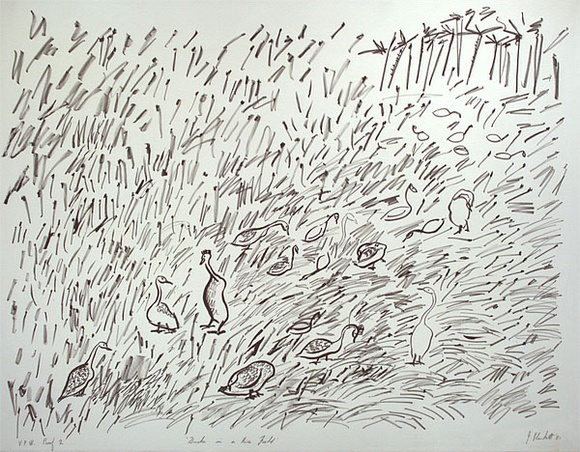 Artist: b'PLUNKETT, Jennifer' | Title: b'Ducks in a rice field' | Date: 1981 | Technique: b'lithograph, printed in black ink, from one stone'