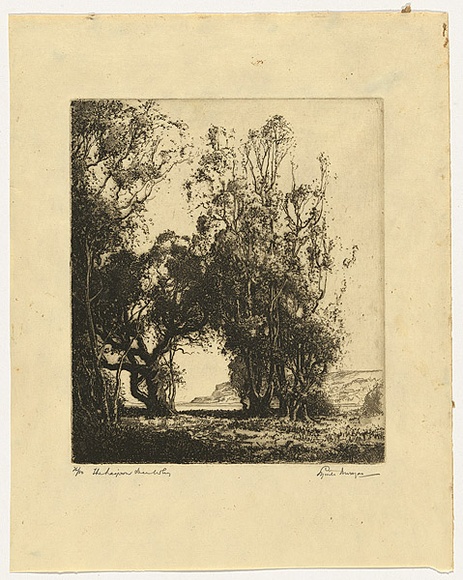 Artist: Morgan, Squire. | Title: The lagoon, Dee Why | Date: 1924 | Technique: etching, printed in black ink with plate-tone, from one plate