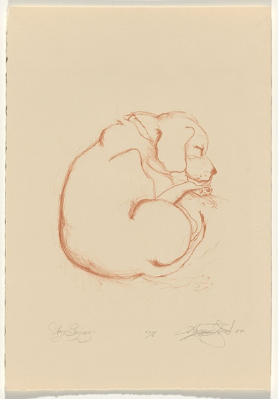 Artist: b'Tritton-Young, Maxienne.' | Title: b'Amy sleeping' | Date: 1987 | Technique: b'lithograph, printed in brown ink, from one stone'