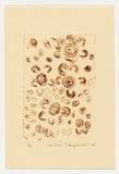 Artist: b'Brown, Margaret.' | Title: b'Bush tucker' | Date: 2004 | Technique: b'drypoint etching, printed in brown ink, from one perspex plate'