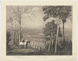 Artist: LINDSAY, Lionel | Title: On the Kurrajong | Date: 1932 | Technique: aquatint, softground etching, roulette and etching, printed in black ink, from one plate | Copyright: Courtesy of the National Library of Australia