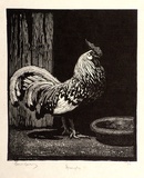 Artist: LINDSAY, Lionel | Title: Spangles | Date: 1925 | Technique: wood-engraving, printed in black ink, from one block | Copyright: Courtesy of the National Library of Australia