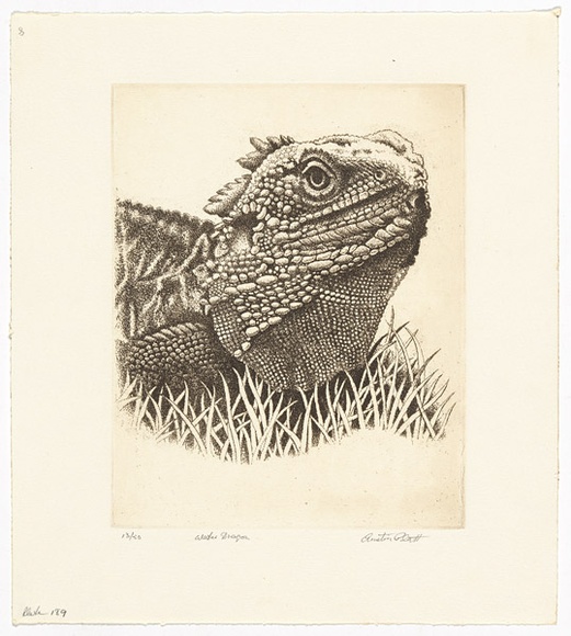 Artist: b'PLATT, Austin' | Title: b'Water dragon' | Date: c.1987 | Technique: b'etching, printed in black ink, from one plate'