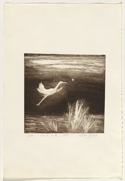 Artist: b'Lempriere, Helen' | Title: b'Bird and the star' | Date: 1960s | Technique: b'softground-etching, printed in black ink, from one plate'