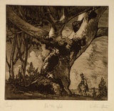 Artist: b'Hunter, William.' | Title: b'On the hill' | Date: c.1940 | Technique: b'etching and aquatint, printed in brown ink, from one plate'