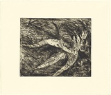 Artist: b'BOYD, Arthur' | Title: b'Nude with shark headed beast (Diana and Actaeon).' | Date: (1962-63) | Technique: b'etching, printed in black ink, from one plate' | Copyright: b'Reproduced with permission of Bundanon Trust'