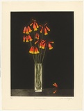 Artist: b'GRIFFITH, Pamela' | Title: b'Christmas bells' | Date: 1986 | Technique: b'hardground-etching and aquatint, printed in colour, from two zinc plates' | Copyright: b'\xc2\xa9 Pamela Griffith'