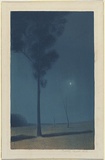 Artist: b'Baker, Cristina Asquith.' | Title: b'The star.' | Date: (1914) | Technique: b'lithograph, printed in colour, from multiple stones'