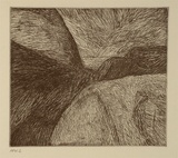 Artist: b'Andrews, Daisy.' | Title: b'Pamarr' | Date: 1994, October - November | Technique: b'etching, printed in black ink, from one plate'