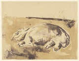 Artist: b'MACQUEEN, Mary' | Title: b'Hippo' | Date: 1967 | Technique: b'lithograph, printed in colour, from multiple plates' | Copyright: b'Courtesy Paulette Calhoun, for the estate of Mary Macqueen'