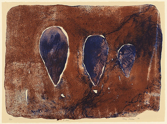 Artist: b'Watson, Judy.' | Title: b'3 skulls' | Date: 1996 | Technique: b'lithograph, printed in colour, from three aluminium plates' | Copyright: b'\xc2\xa9 Judy Watson. Licensed by VISCOPY, Australia'